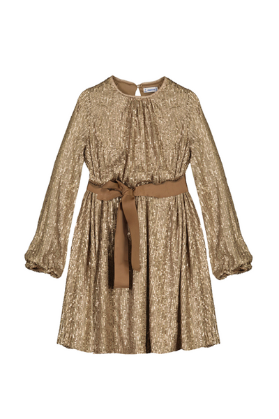 Mocha Sequins Dress